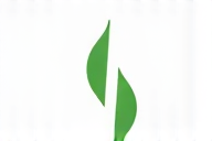 Frisches, gesundes Essen auf einem Tisch, das Wohlbefinden symbolisiert